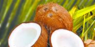 Кокос (кокосовый орех) Кокос бессемянный плод